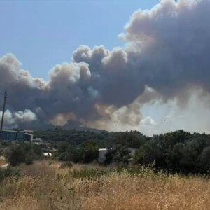 canakkalede yangin tarim arazisinden ormanlik alana sicradi kwxhLPCb