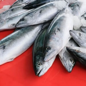 yasak sona erdi bu sezon bereket sacacak aaxtjbx9