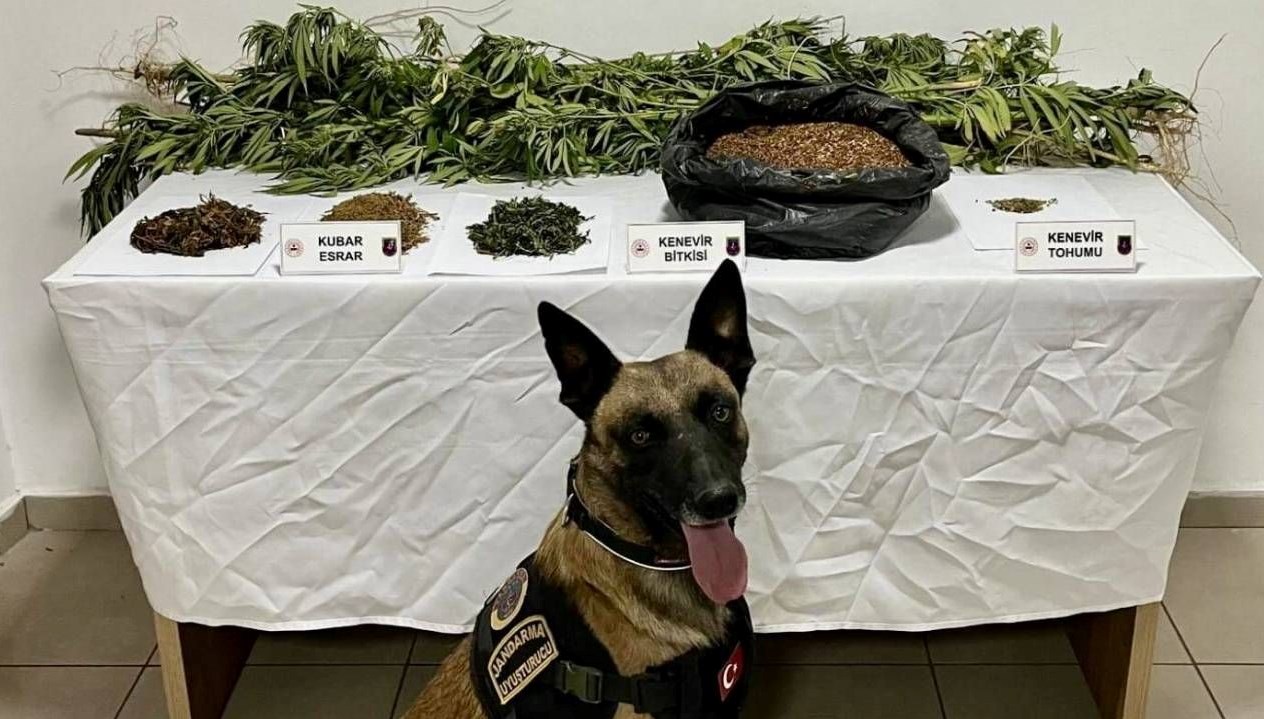 afyonkarahisarda uyusturucu operasyonu xStg5MuX