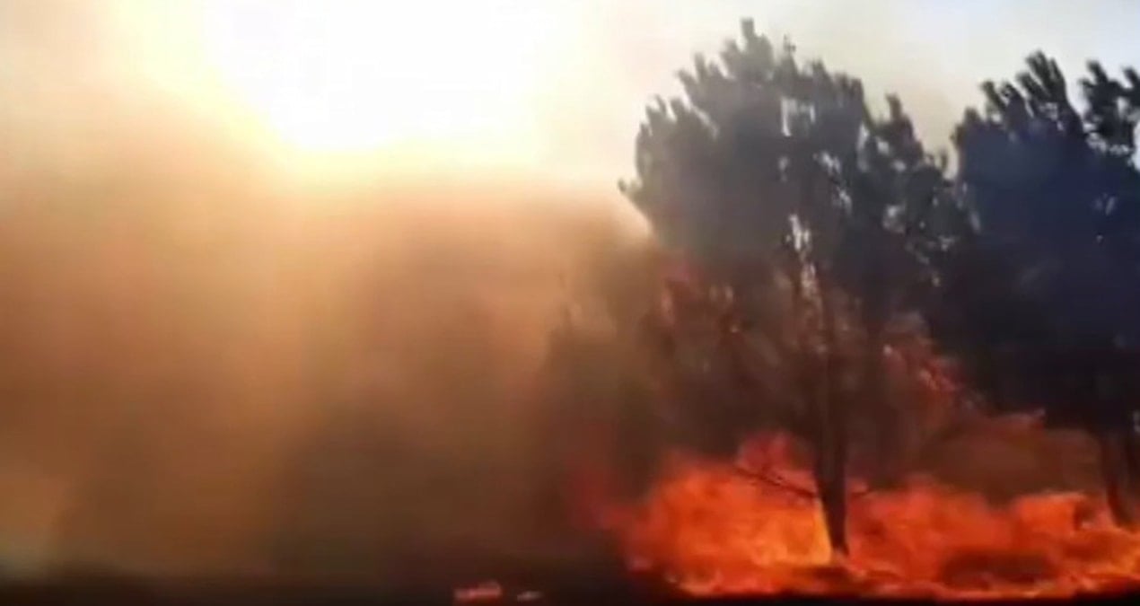 bursada ekipleri harekete geciren orman yangini 6v3gFwSI