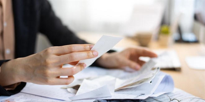 hangi kurum ne kadar kaynak alacak YADELFlu.jpg