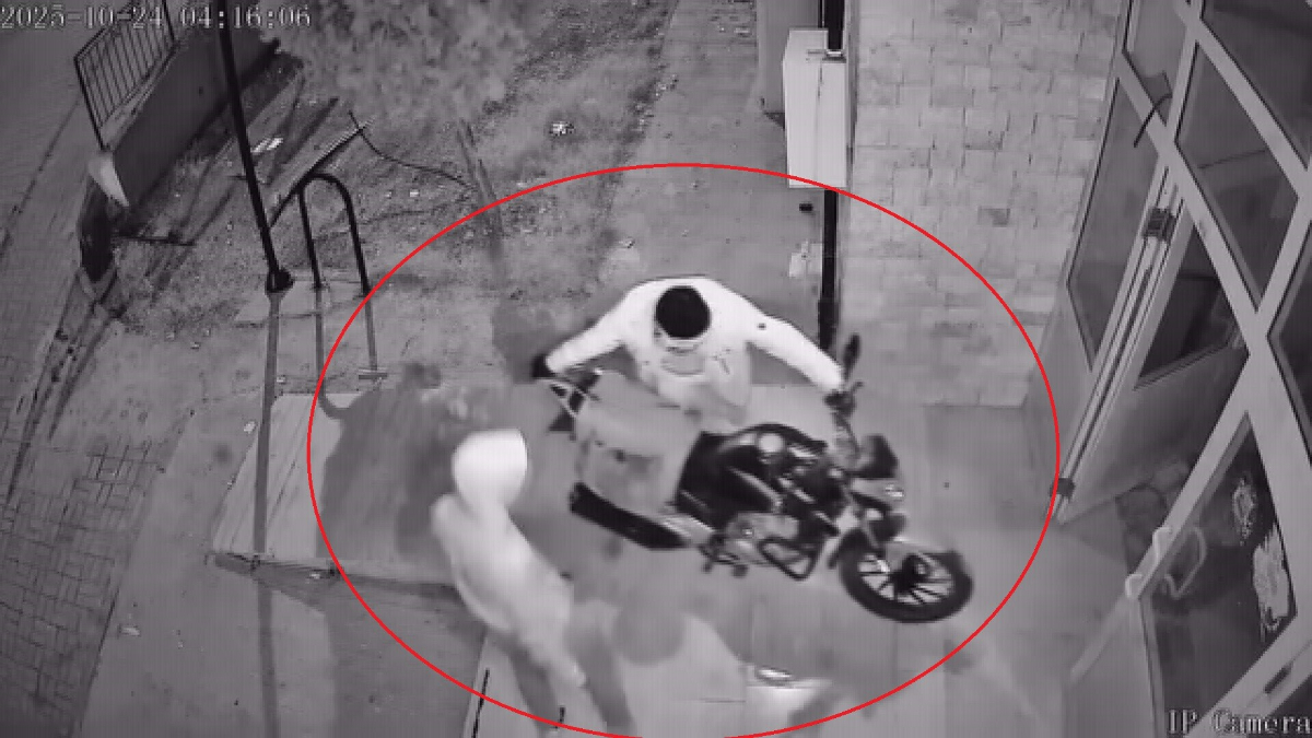 hatayda hirsizlarin pes dedirten rahatligi 7Serc4nJ.jpg