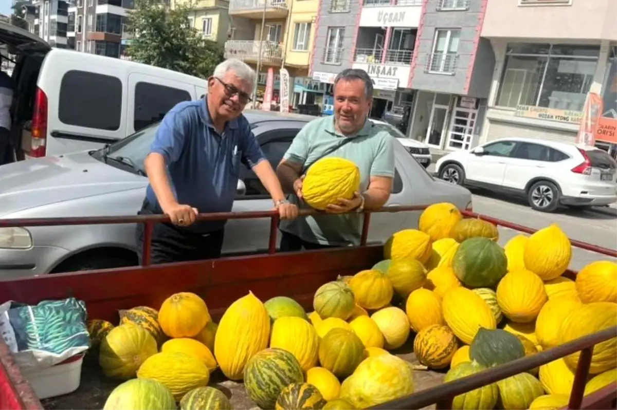 kurucay kavunlari hasada basladi hpWQniaF