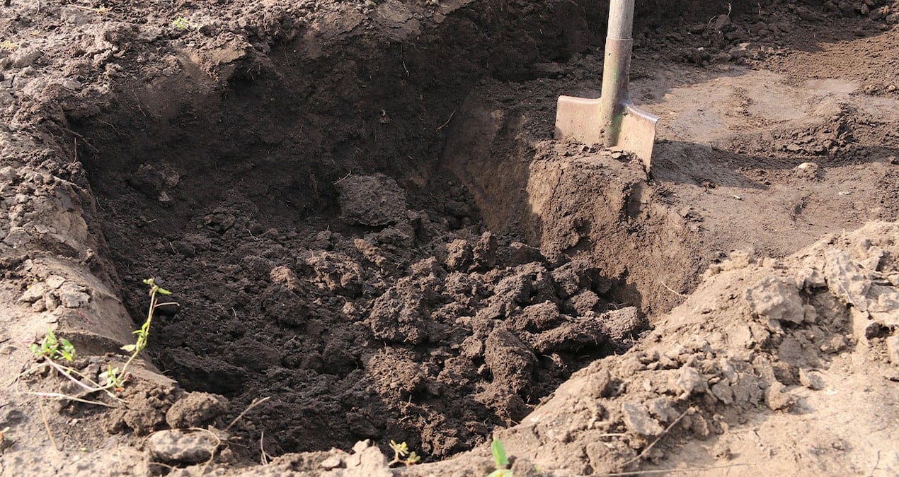 bahcesini kazarken hayati degisti posetleri actikca milyoner oldu B9U9ET8Q.jpg