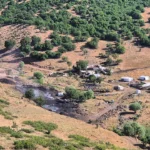 Bingolde orman kesimleri suruyor cevre aktivistleri yetkililerden aciklama istedi pyqPcUBZ