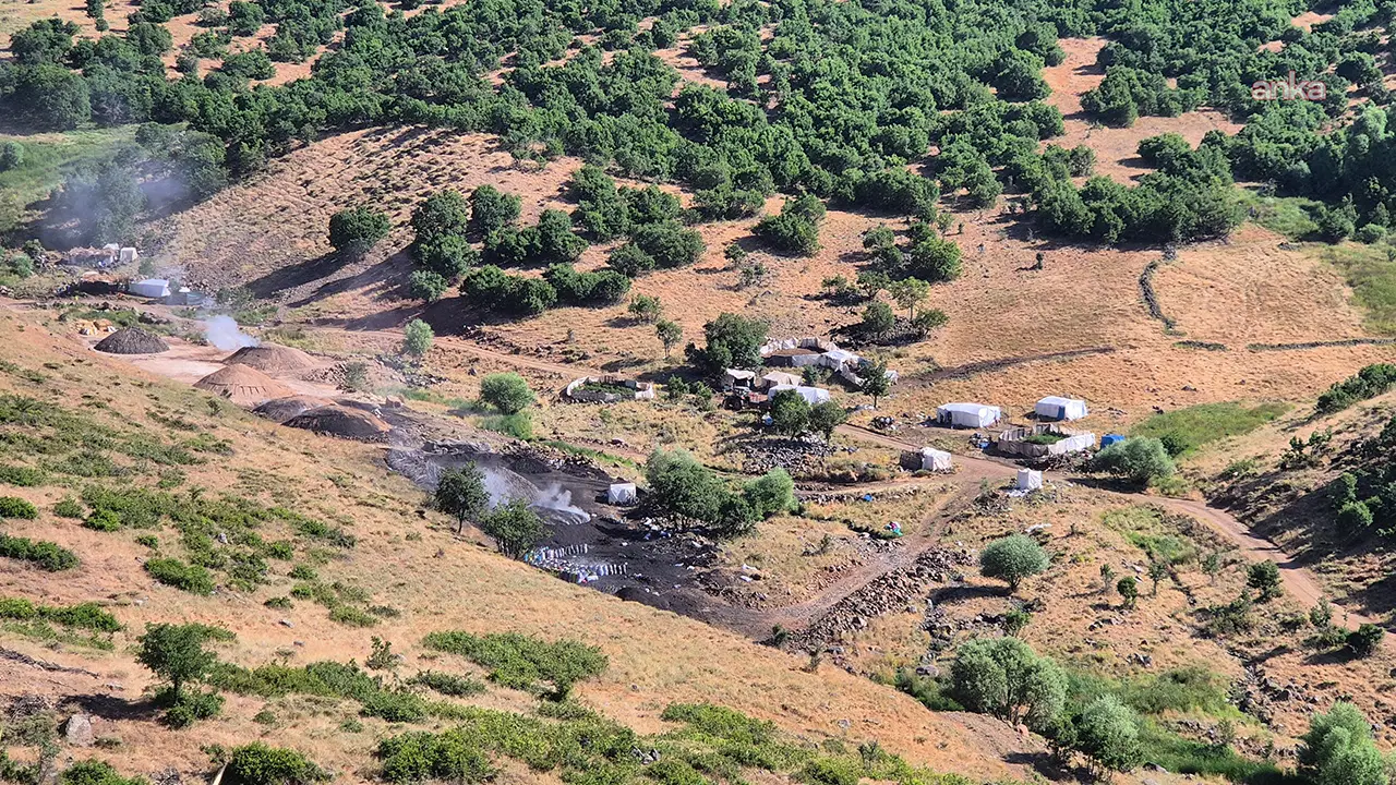 Bingolde orman kesimleri suruyor cevre aktivistleri yetkililerden aciklama istedi pyqPcUBZ